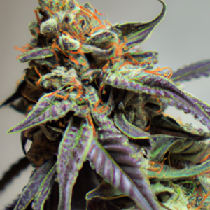 purple og