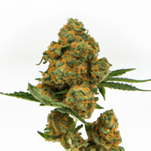 peyote cookies