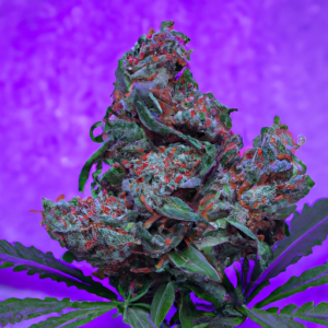 bruce banner popcorn