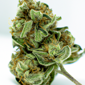 sherbert