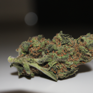 chem de la chem