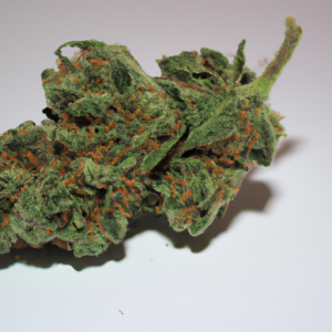 jungle cake