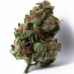 lindsay og