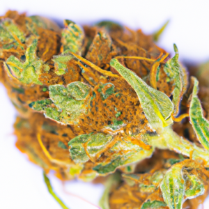 island sweet skunk