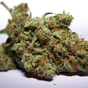 big bud