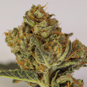 tuna kush