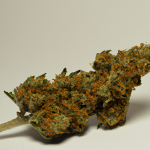 afghani