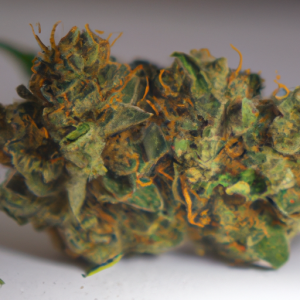 tutti frutti