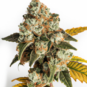 ghost train haze