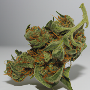 bubba doja