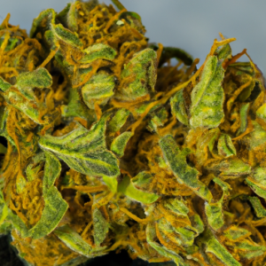 dutch treat