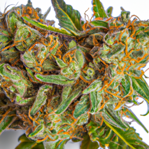 lemon kush