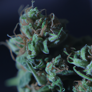 best friend og