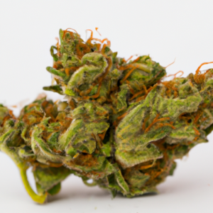critical kush