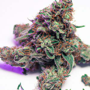 purple monkey