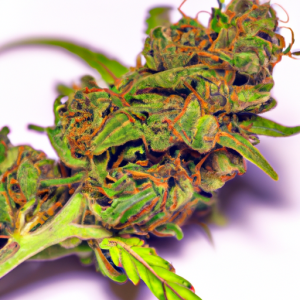 purple candy