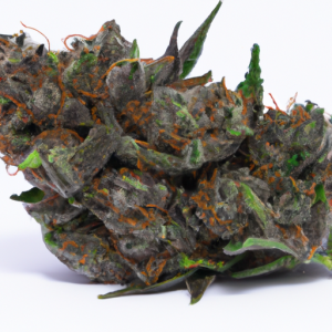 blueberry cheesecake