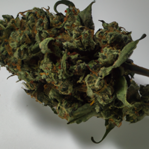 black domina