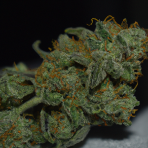 khalifa kush
