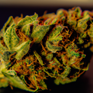 agent orange