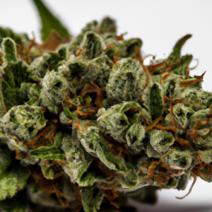 berry white