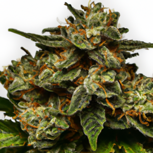 raspberry cough