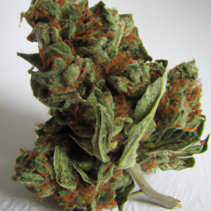 og shark