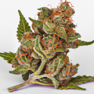 acapulco gold